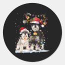 Pesquisar por schnauzer adesivos Natal