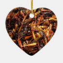 Pesquisar por gafanhotos ornamentos Engraçado