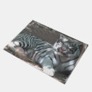 Pesquisar por tigre de bengal Tigres