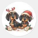 Pesquisar por natal do dachshund adesivos Cãozinho