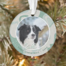 Pesquisar por border collie ornamentos Collie de borda