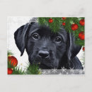 Pesquisar por christmas puppy cartoes postais Black lab