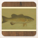 Pesquisar por fundo verde porta copos Borda