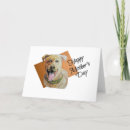 Pesquisar por staffordshire bull terrier cartoes Amor