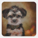 Pesquisar por poo adesivos Yorkies