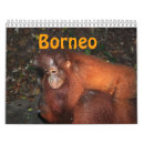 Pesquisar por bornéu Kalimantan