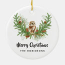 Pesquisar por fotos da coruja ornamentos Natal