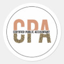Pesquisar por contadores adesivos Auditor