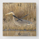 Pesquisar por hera relogios de parede Fotografia da natureza