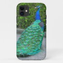 Pesquisar por caso do iphone iphone 5 capas Fotografia