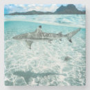 Pesquisar por tubarão porta copos Natação