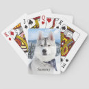 Pesquisar por imagens animais baralhos Fotografia