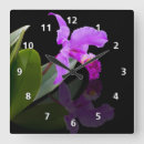 Pesquisar por orquídea relogios de parede Jardim