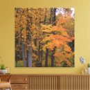 Pesquisar por tulipa amarela impressão de canvas Tulipas