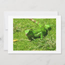 Pesquisar por iguana verde Natureza