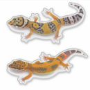 Pesquisar por gecko adesivos Natureza