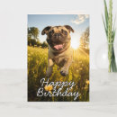 Pesquisar por pug feliz cartoes Cães