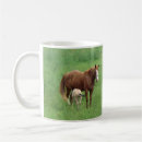 Pesquisar por potros canecas Cavalo