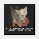 Pesquisar por tomas imas Gato