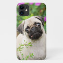 Pesquisar por pug iphone capas Animal