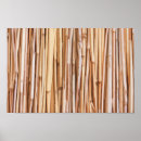 Pesquisar por planta de bambu pósteres pôsteres Plantas