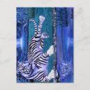 Pesquisar por bambu cartoes postais Selva