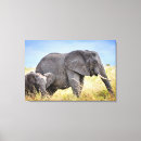Pesquisar por arte africana impressão de canvas Elefante africano