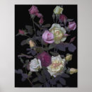 Pesquisar por still life pósteres pôsteres Flowers