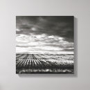 Pesquisar por fazenda impressão de canvas Preto e branco