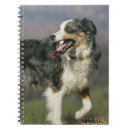 Pesquisar por border collie cadernos de notas Cão