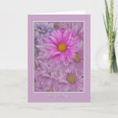 Pesquisar por gerbera cartoes Plantas