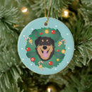 Pesquisar por decorado ornamentos Cão