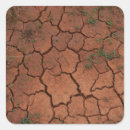 Pesquisar por rachado adesivos Terra