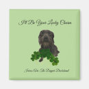 Pesquisar por trevo imas Leprechaun