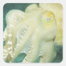 Pesquisar por recife adesivos Vida selvagem