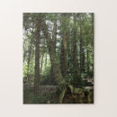 Pesquisar por bosque fotografia Trilha