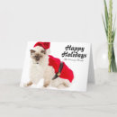 Pesquisar por bavaria cartoes Photography