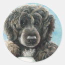 Pesquisar por portugueses adesivos Cão