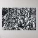 Pesquisar por rasgado pôsteres Vazio