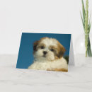 Pesquisar por shih tzu puppy cartoes Puppies