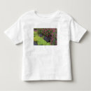 Pesquisar por verde musgo camisetas Riacho