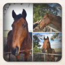 Pesquisar por cavalo marrom porta copos Baía