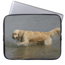 Pesquisar por golden capas Mar