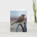 Pesquisar por history cartoes Nature