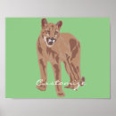 Pesquisar por puma pósteres pôsteres Leão da montanha