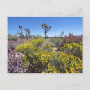Pesquisar por deserto de mojave cartoes postais Parque nacional joshua