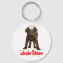 Pesquisar por labrador retriever chaveiros Cachorro