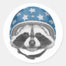 Pesquisar por raccoon adesivos Vintage