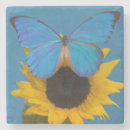 Pesquisar por entomologia porta copos Vida selvagem