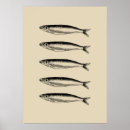 Pesquisar por sardinha artes pôsteres Pesca